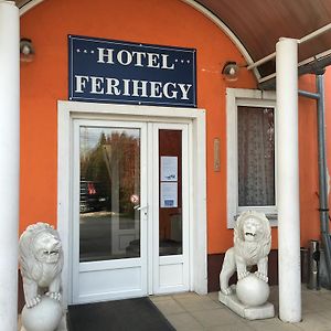 Hotel Ferihegy